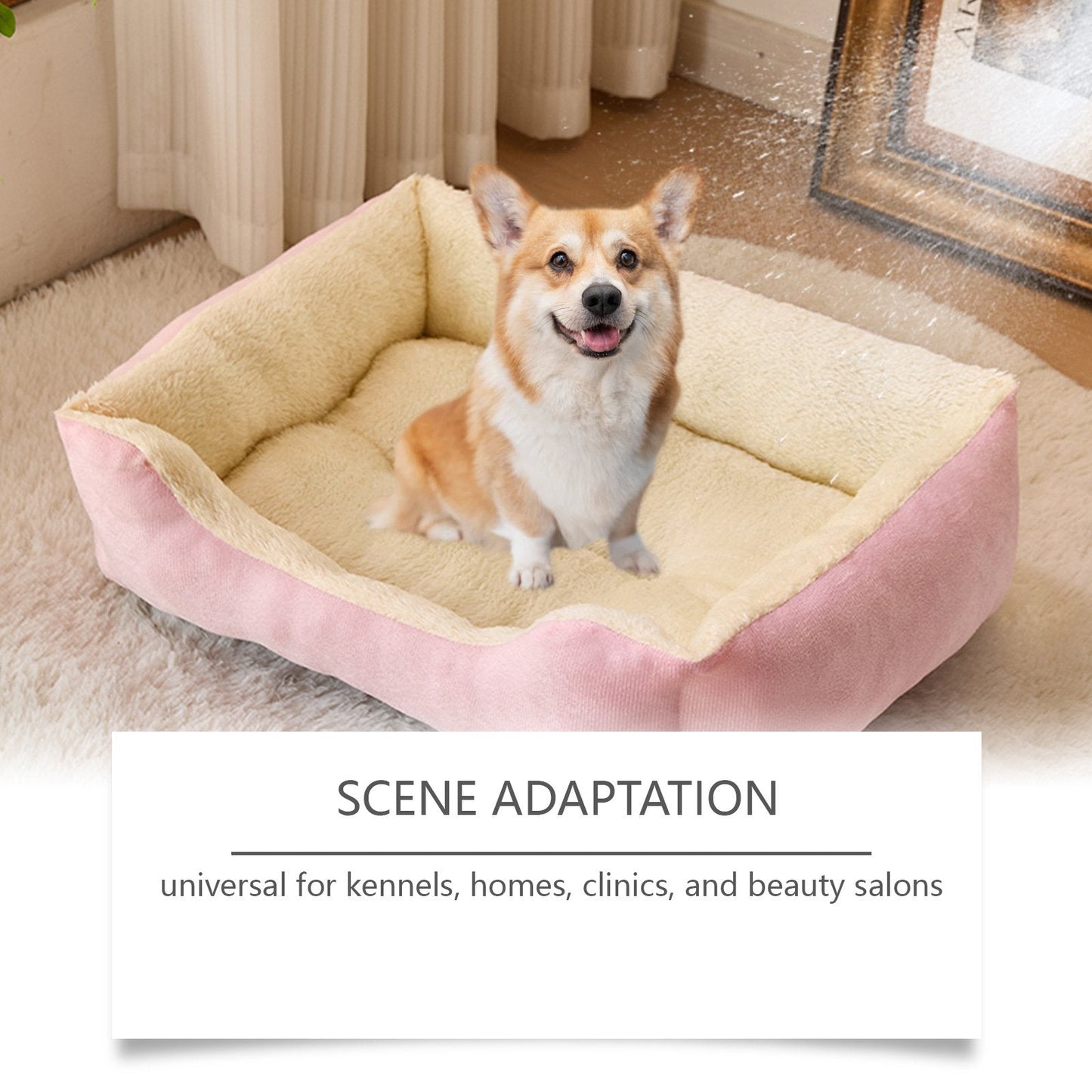 🔥Last Day 50% OFF - 🐶Kennel Odor Eliminator 🍑 Concentrate – Non-Enzymatic, Apricot & Fresh Scents for Tough Pet Odors